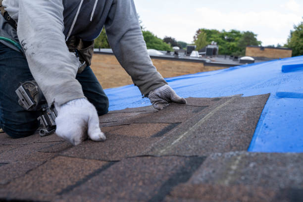 Best Metal Roofing Contractor  in Dover, TN