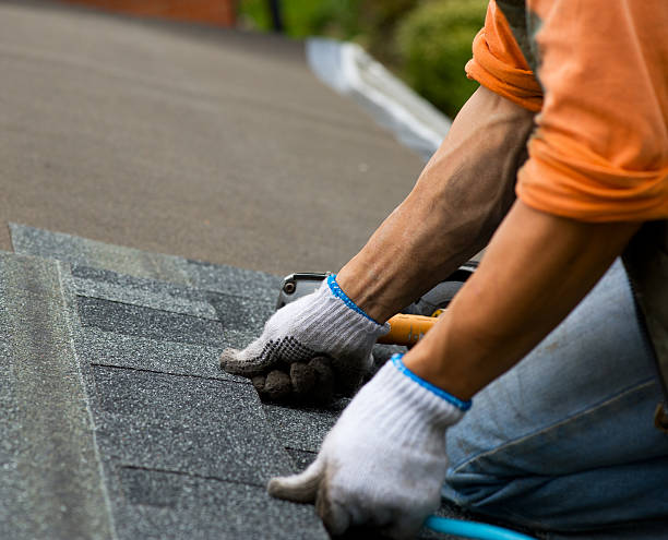 Best Residential Roof Replacement  in Dover, TN