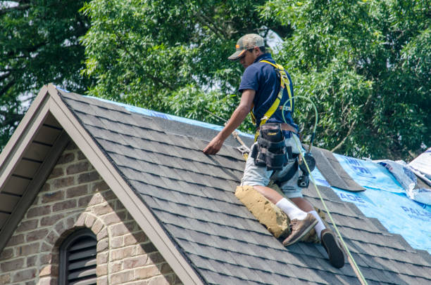 Best Emergency Roof Repair  in Dover, TN